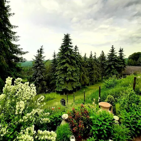 Relaxing In With Furnished Garden Apartment